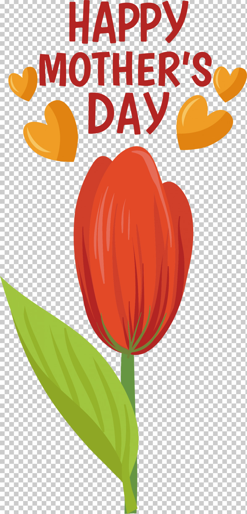 Plant Stem Cut Flowers M-095 Tulip Flower PNG, Clipart, Biology, Cut Flowers, Flower, Heart, M095 Free PNG Download