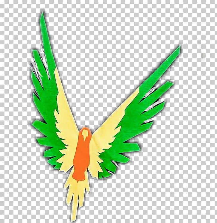 Logo PNG, Clipart, Beak, Bird, Common Pet Parakeet, Desktop Wallpaper, Drawing Free PNG Download