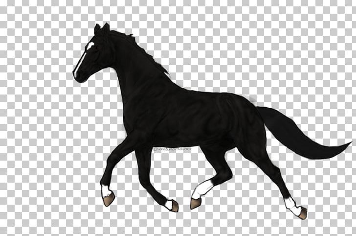 Mustang Pony Foal Mare Stallion PNG, Clipart, Animal Figure, Art, Black And White, Deviantart, Drawing Free PNG Download