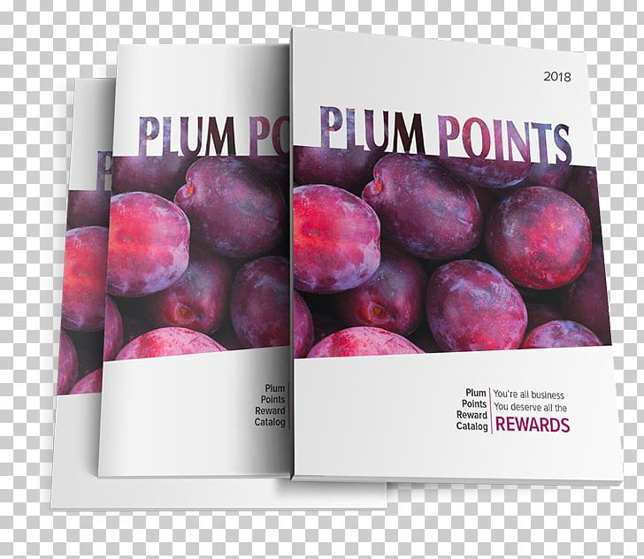 Plum Direct Marketing Brand PNG, Clipart, Brand, Dartmouth, Direct Marketing, Food, Fruit Free PNG Download