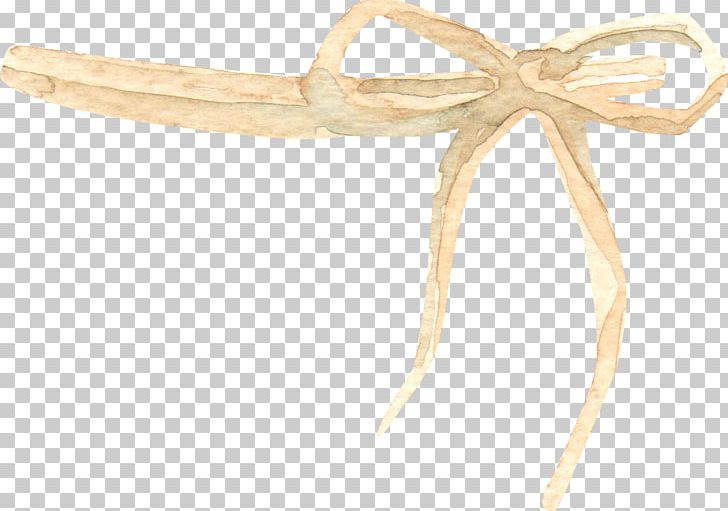 Shoelace Knot High-definition Television PNG, Clipart, Beige, Bow, Bows, Bow Tie, Color Free PNG Download