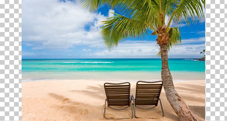 Beach Waikiki Desktop Tropical Islands Resort Summer Vacation PNG, Clipart, Arecales, Beach, Caribbean, Coastal And Oceanic Landforms, Computer Free PNG Download