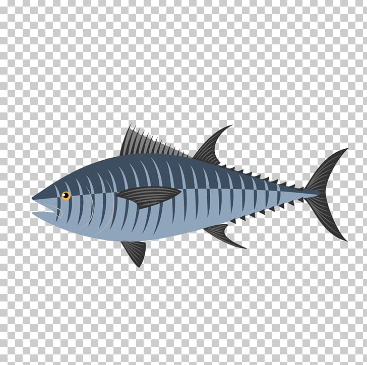 Fish Japanese Spanish Mackerel Seabed Illustration PNG, Clipart, Animals, Aquarium Fish, Cartilaginous Fish, Cartoon Fish, Euclidean Vector Free PNG Download