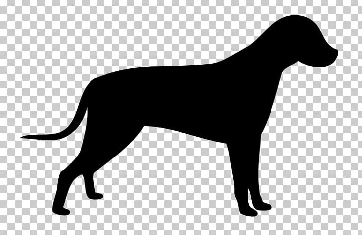 Pointer Scottish Terrier PNG, Clipart, Animals, Bird Dog, Black, Black And White, Carnivoran Free PNG Download