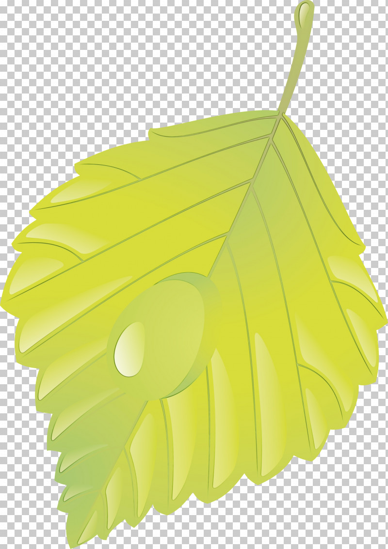 Leaf Green Yellow Tree Plant PNG, Clipart, Green, Leaf, Paint, Plant, Tree Free PNG Download
