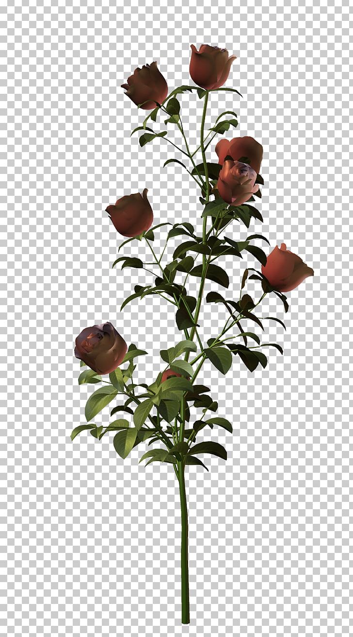 Garden Roses Flower PNG, Clipart, Branch, Clip Art, Cut Flowers, Cylinder, Dimension Free PNG Download