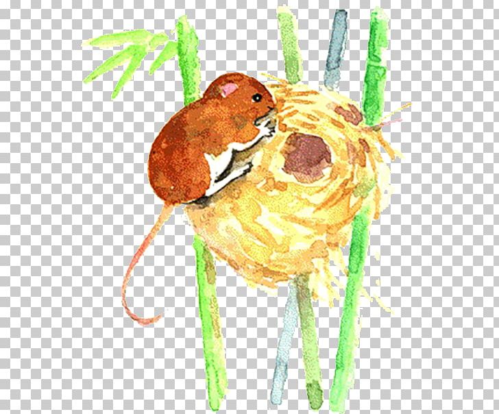 Mouse Muroidea Illustration PNG, Clipart, Broken Egg, Brown, Chinese Zodiac, Designer, Download Free PNG Download