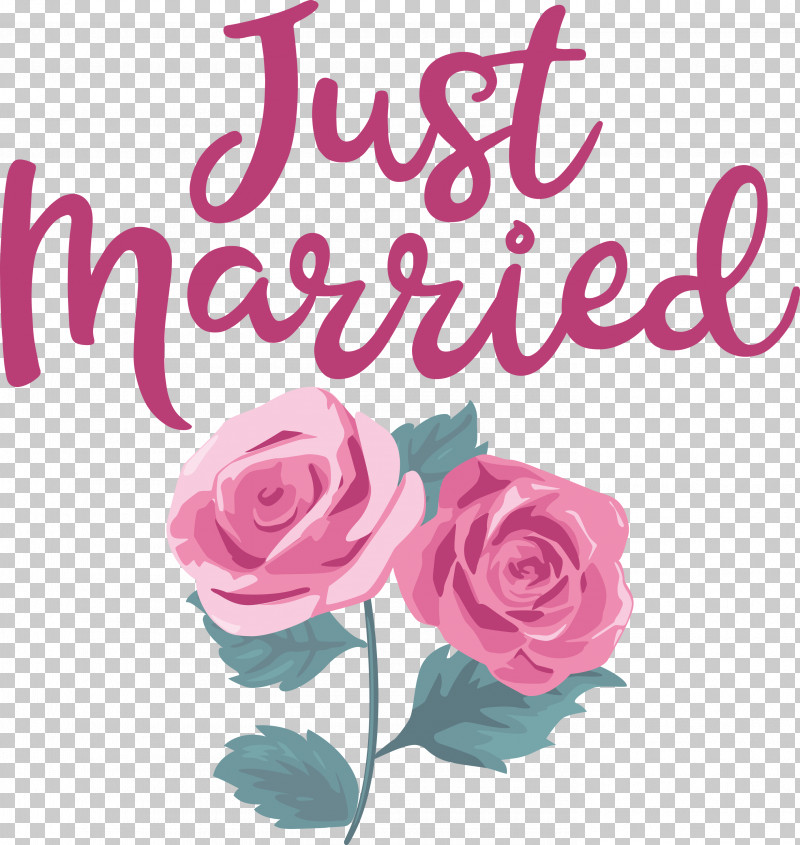 Just Married Wedding PNG, Clipart, Cabbage Rose, Cut Flowers, Floral Design, Flower, Flower Bouquet Free PNG Download