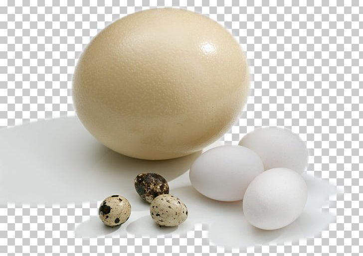 Chicken Goose Common Ostrich Duck Quail PNG, Clipart, Animals, Bird, Bird Egg, Broken Egg, Chicken Free PNG Download