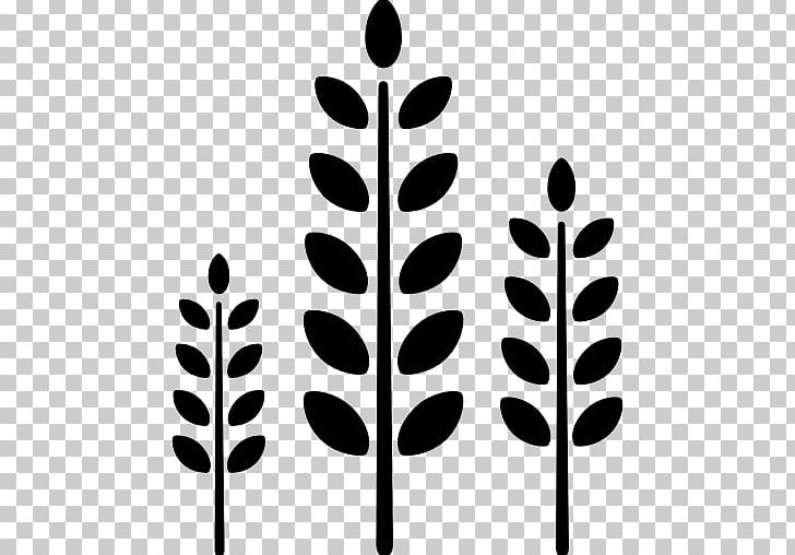 Computer Icons Thanksgiving PNG, Clipart, Agriculture, Black And White, Branch, Computer Icons, Encapsulated Postscript Free PNG Download