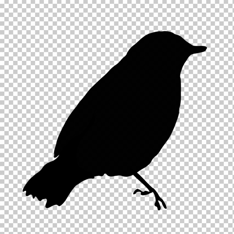 Bird Beak Blackbird Crow Raven PNG, Clipart, Beak, Bird, Blackbird, Crow, Crowlike Bird Free PNG Download