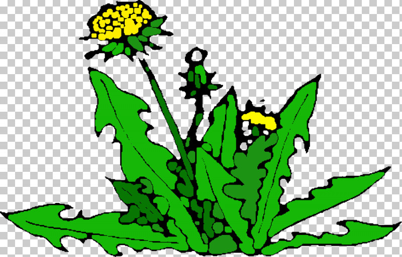 Dandelion PNG, Clipart, Biology, Branch, Dandelion, Flower, Leaf Free PNG Download