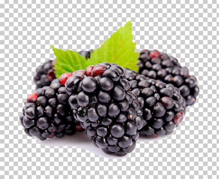 Boysenberry Amora Fruit Sorbet Auglis PNG, Clipart, Auglis, Berry, Bilberry, Blackberry, Blackcurrant Free PNG Download