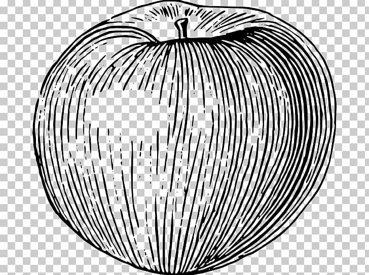 Drawing Apple Fruit PNG, Clipart, Apple, Apples, Black And White, Circle, Drawing Free PNG Download