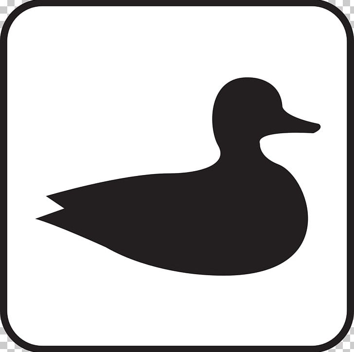 Duck Bird Waterfowl Hunting Anseriformes PNG, Clipart, Animals, Anseriformes, Beak, Bird, Black And White Free PNG Download