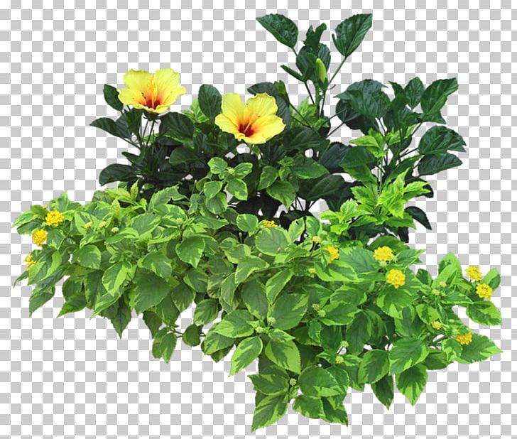 Flowerpot Grow Light Hydroponics Plastic Plant PNG, Clipart, Annual Plant, Cartoon, Flower, Flowering Plant, Flowers Free PNG Download