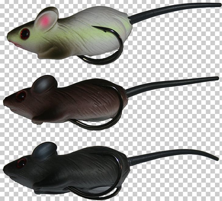 Mouse Amphibian Technology PNG, Clipart, Amphibian, Animals, Barramundi, Mouse, Muridae Free PNG Download
