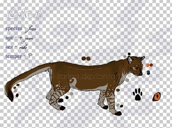 Lion Cat Fossa Lemurs Mammal PNG, Clipart, Anatomy, Animal, Animals, Art, Big Cat Free PNG Download