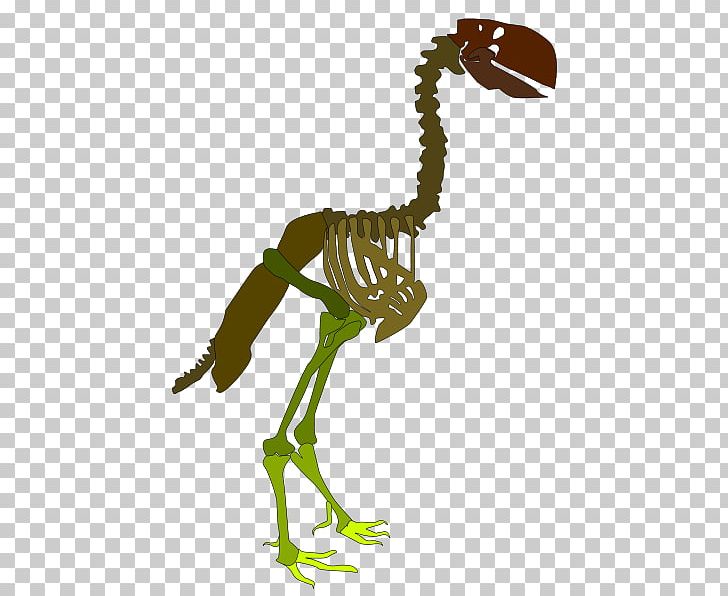 Skeleton Velociraptor La Tostadora T-shirt Rib PNG, Clipart, Amphibian, Animal, Animal Figure, Beak, Chocobo Free PNG Download