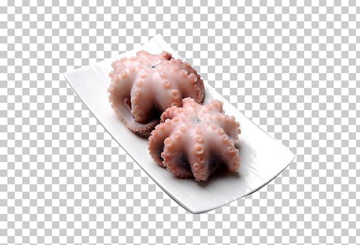Squid Seafood Octopus Pandalus Borealis PNG, Clipart, Aquatic Animal, Aquatic Animals, Aquatic Claw Squid, Aquatic Plants, Argentine Free PNG Download