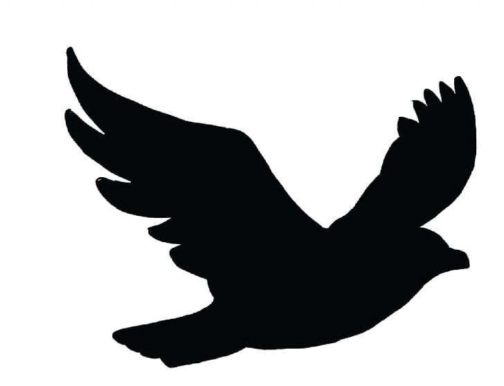 Bird Flight Swallow Columbidae Crows PNG, Clipart, Animals, Beak, Bird, Bird Flight, Bird Of Prey Free PNG Download