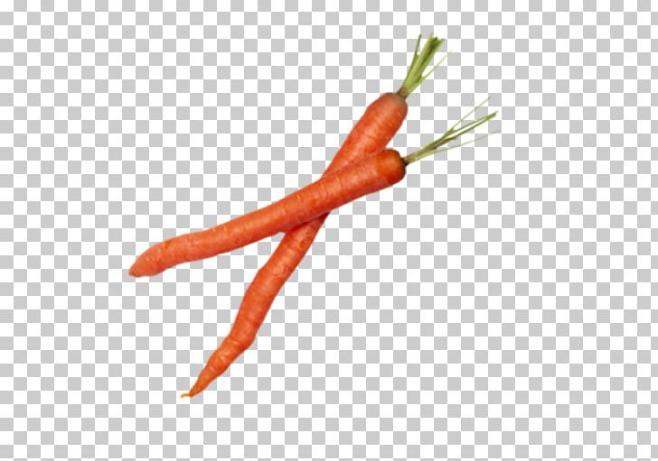 Chili Pepper Vegetable Cooking Culinary Art PNG, Clipart, Bell Peppers And Chili Peppers, Carrot, Carrots, Cayenne Pepper, Chili Pepper Free PNG Download