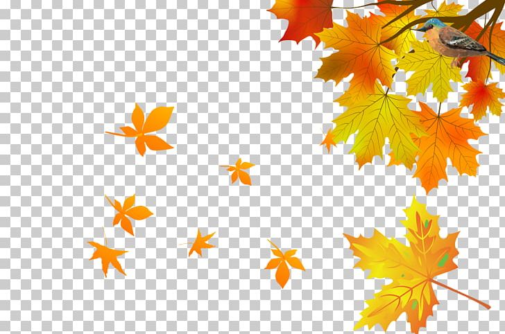 Maple Leaf Autumn PNG, Clipart, Autumn Maple Leaves, Banana Leaves, Botany, Branch, Computer Wallpaper Free PNG Download