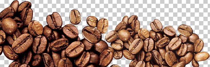 Coffee Bean Iced Coffee PNG, Clipart, Bean, Beans, Brown, Cafe, Coffea Free PNG Download
