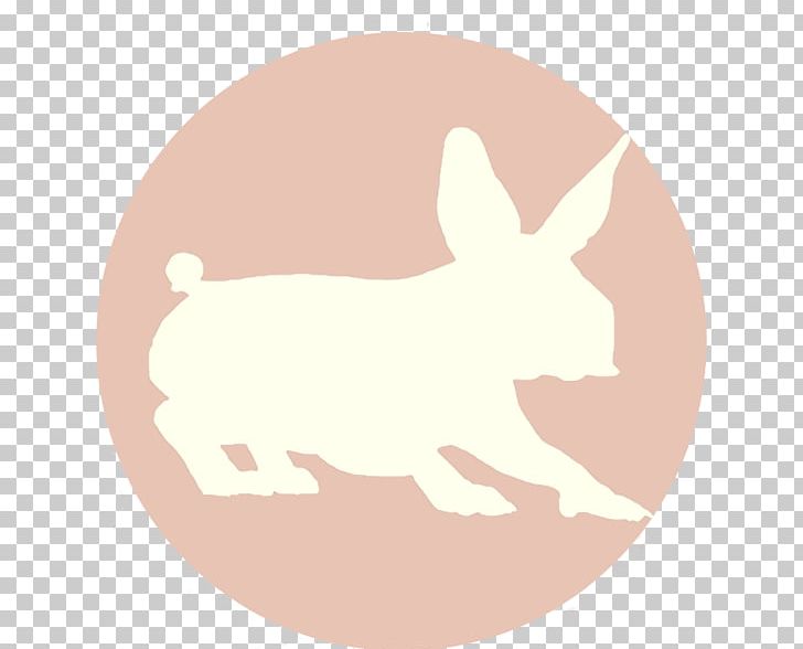 Dog Hare Easter Bunny Rabbit PNG, Clipart, Animals, Canidae, Carnivoran, Cartoon, Dog Free PNG Download