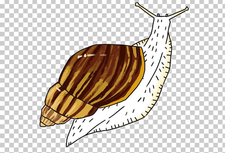 Snail Slug Food Terrestrial Animal PNG, Clipart, Animal, Food, Giant African Snail, Invertebrate, Molluscs Free PNG Download