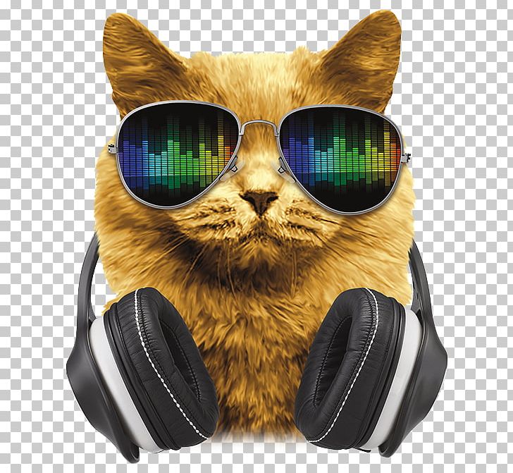 Axent Wear Cat Ear Headphones Denon Whiskers PNG, Clipart, Axent Wear Cat Ear Headphones, Bose Corporation, Case, Cat, Cat Like Mammal Free PNG Download