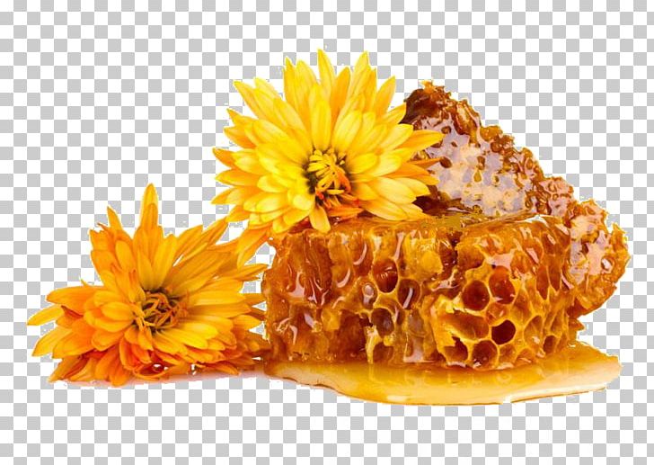 Beeswax Honeycomb Propolis Stock Photography PNG, Clipart, Bee, Bees Honey, Beeswax, Calendula, Chrysanths Free PNG Download