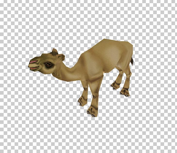 Dromedary Zoo Tycoon 2 Video Games PNG, Clipart, Animal, Animal Figure, Arabian Camel, Camel, Camel Like Mammal Free PNG Download