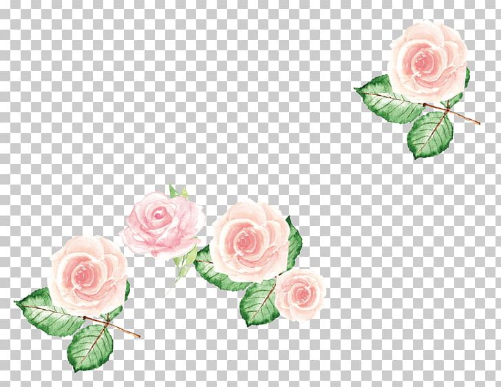 Garden Roses Centifolia Roses Pink Flower PNG, Clipart, Centifolia Roses, Concepteur, Cut Flowers, Decorative, Decorative Material Free PNG Download