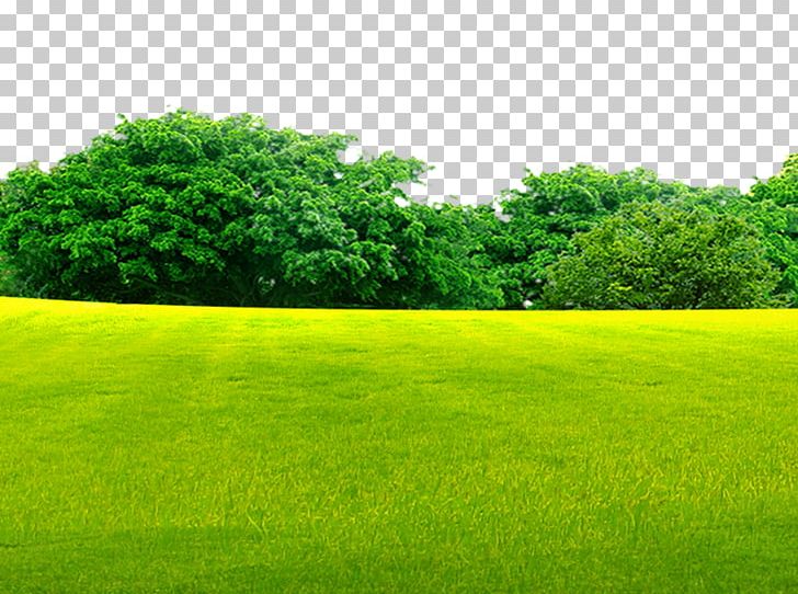 grasslands wallpaper