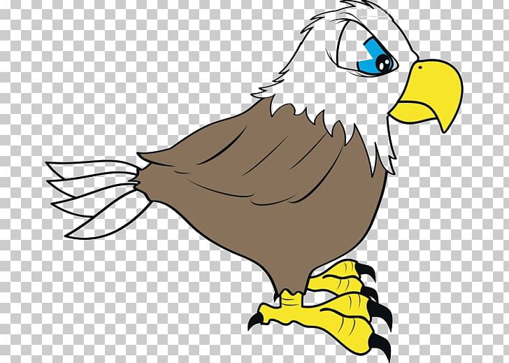 Bald Eagle Cartoon Drawing PNG, Clipart, Animals, Animated Cartoon, Art, Artwork, Away Free PNG Download