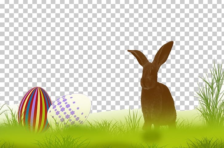 Easter Bunny Rabbit Hare PNG, Clipart, Animals, Artificial Grass, Cartoon Grass, Computer Wallpaper, Download Free PNG Download