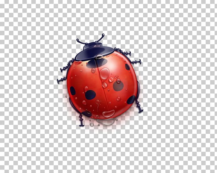 Orange Insects Sphere PNG, Clipart, Animation, Beetle, Cartoon Ladybug, Chart, Computer Graphics Free PNG Download