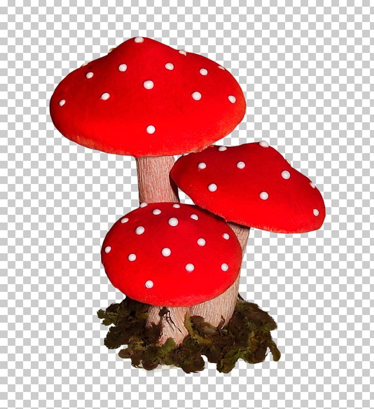 Mushroom PNG, Clipart, Champignon, Mushroom, Nature Free PNG Download