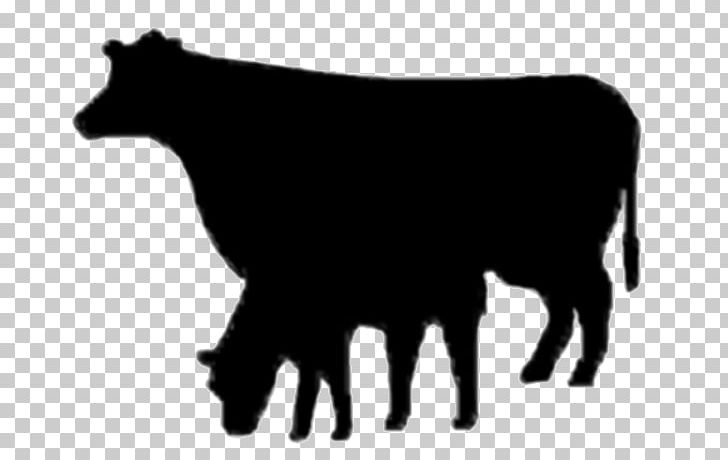 Angus Cattle Dairy Cattle Beef Cattle Bull Ox PNG, Clipart, Angus Cattle, Beef, Beef Cattle, Black And White, Bull Free PNG Download