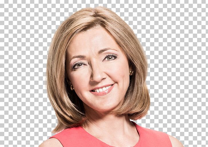 Chris Jansing Jansing And Company NBC News MSNBC White House Press Corps PNG, Clipart, Barack Obama, Beauty, Blond, Brown Hair, Cheek Free PNG Download