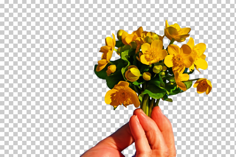 Spring PNG, Clipart, Bouquet, Cut Flowers, Flower, Flowerpot, Hand Free PNG Download