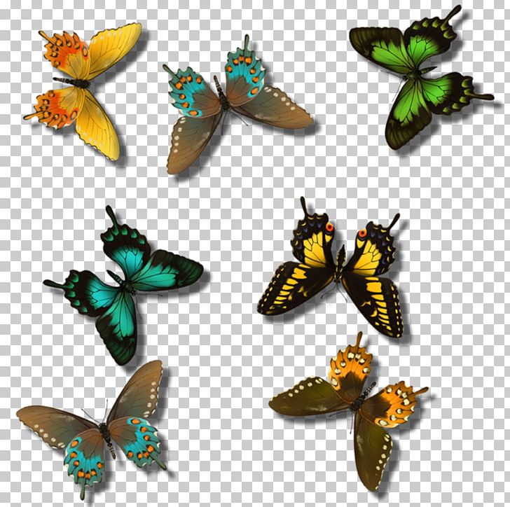Butterfly Insect Pollinator Greta Oto Arthropod PNG, Clipart, Animal, Arthropod, Blog, Butterflies And Moths, Butterfly Free PNG Download