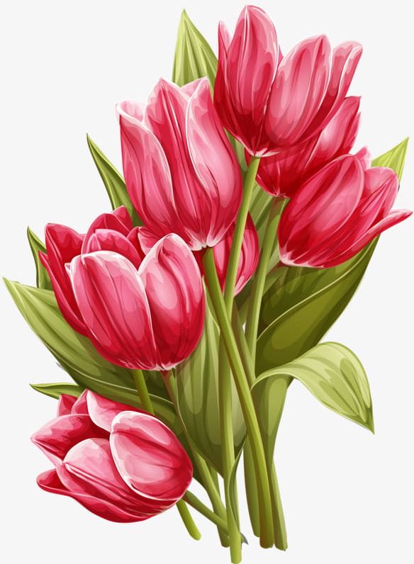 Hand-painted Tulip PNG, Clipart, Flowers, Hand, Hand Painted, Hand Painted Clipart, Painted Free PNG Download