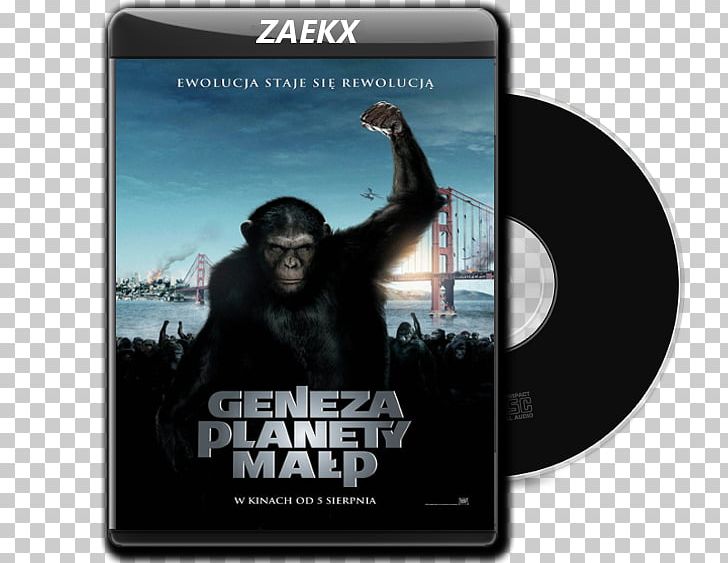 Planet Of The Apes Science Fiction Film Film Poster Film Director PNG, Clipart, 2011, Beneath The Planet Of The Apes, Brand, Dvd, Film Free PNG Download