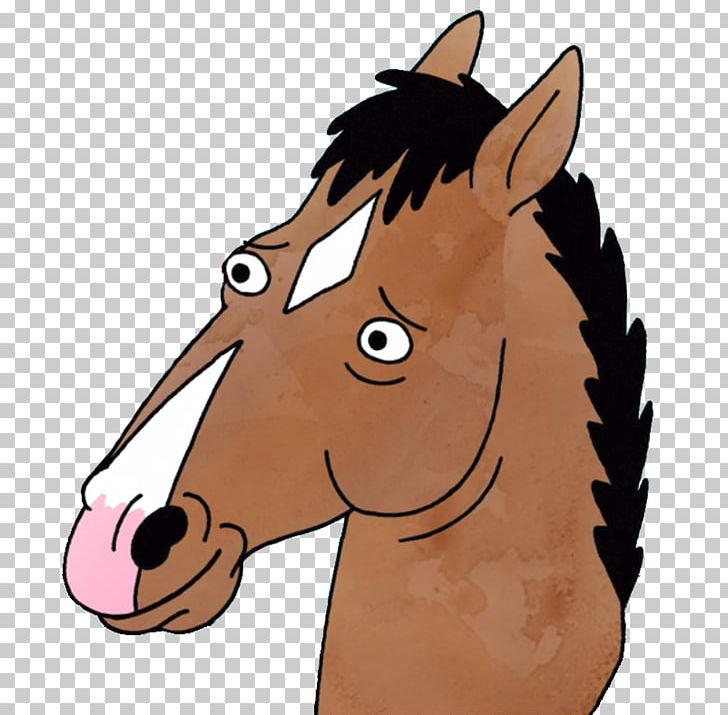 BoJack Horseman PNG, Clipart,  Free PNG Download