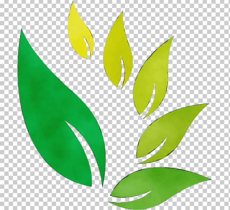 Leaf Plant Stem Chemistry Consumer Research PNG, Clipart, Biology, Chemistry, Consumer, Javascript, Leaf Free PNG Download