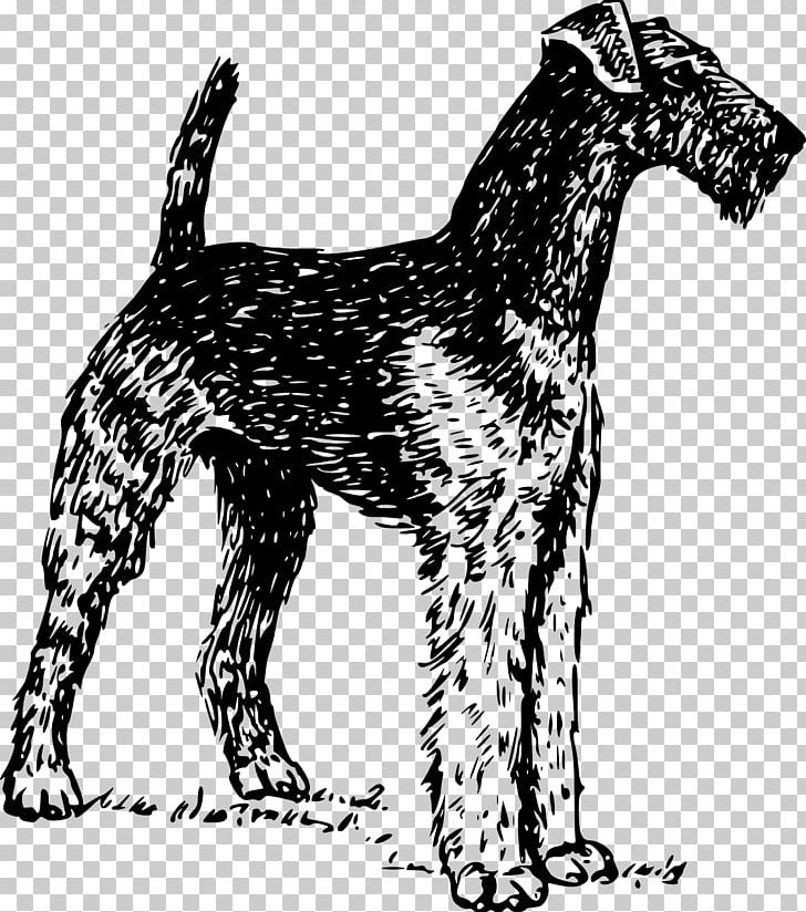 Airedale Terrier Bedlington Terrier Cairn Terrier Bull Terrier PNG, Clipart, Airedale Terrier, Bedlington Terrier, Black And White, Breed, Bull Terrier Free PNG Download