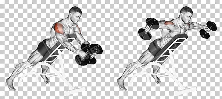 Dumbbell Shoulder Pulldown Exercise Muscle PNG, Clipart, Angle, Area, Arm, Ball, Bench Free PNG Download