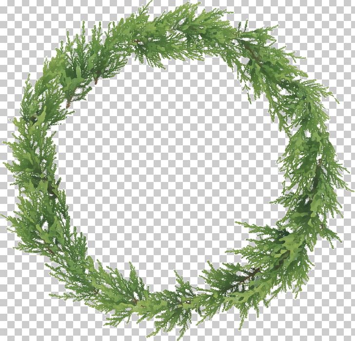 Leaf Photography PNG, Clipart, Branch, Christmas Decoration, Christmas Ornament, Conifer, Encapsulated Postscript Free PNG Download